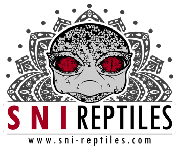 Sni Reptiles